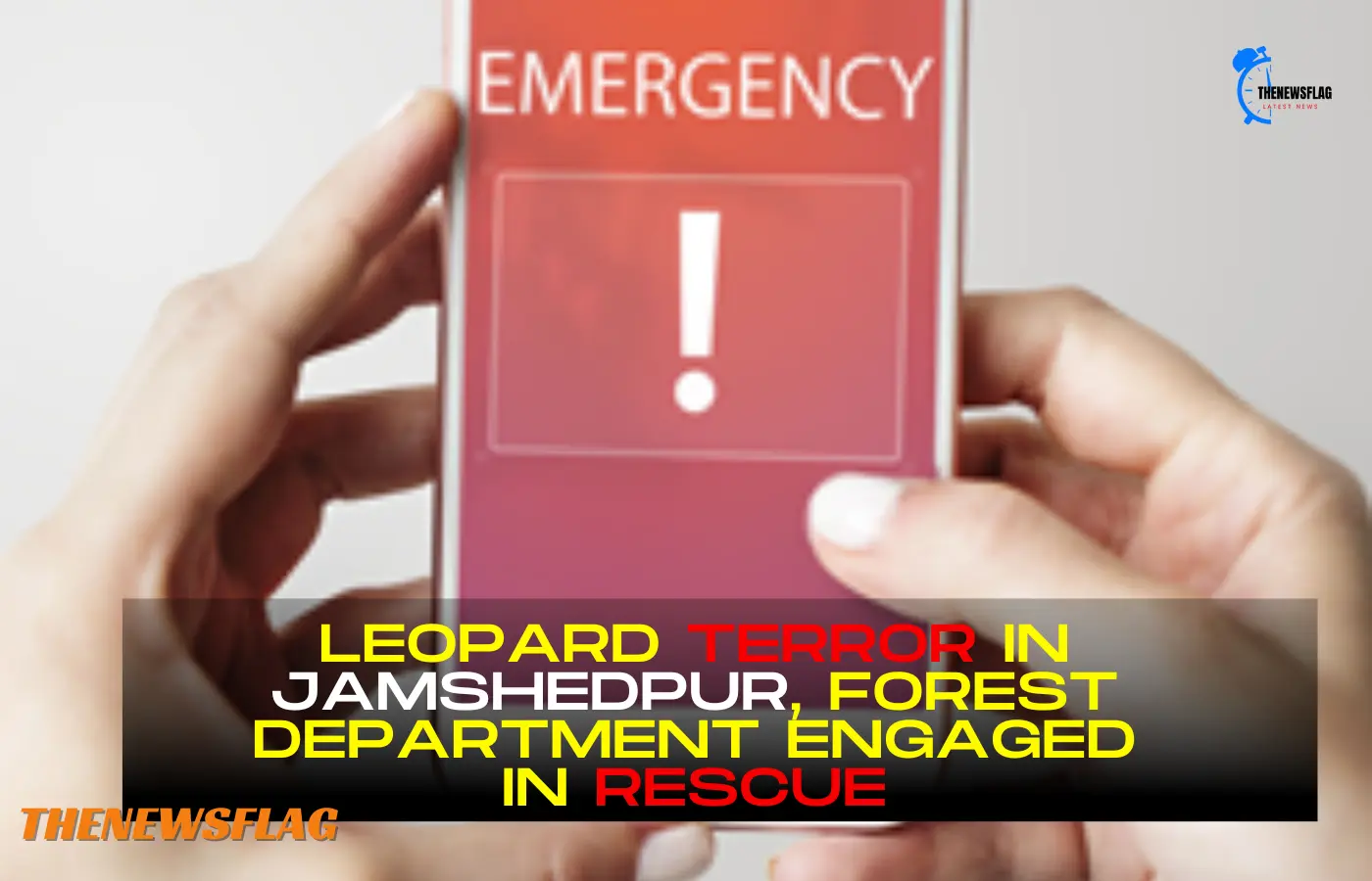Leopard terror in Jamshedpur, forest department engaged in rescue