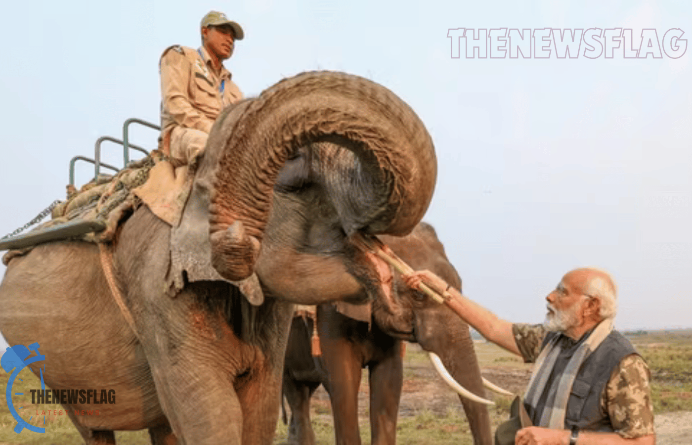 In Assam's Kaziranga National Park, Prime Minister Narendra Modi feeds elephants, goes on safari, and sees a one-horned rhino.