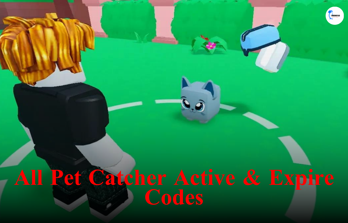 Roblox: All Pet Catchers Active Codes in March 2024