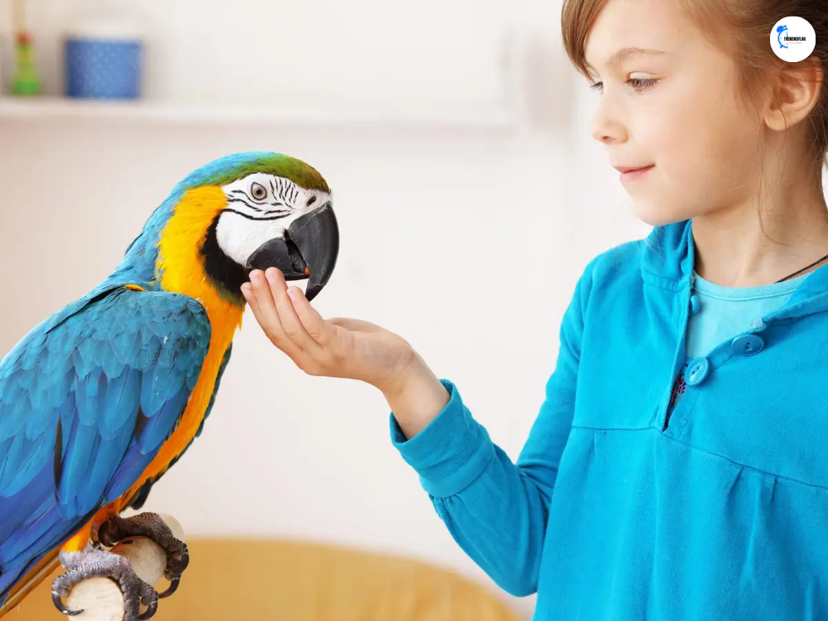Psittacosis symptoms and treatment of parrot fever