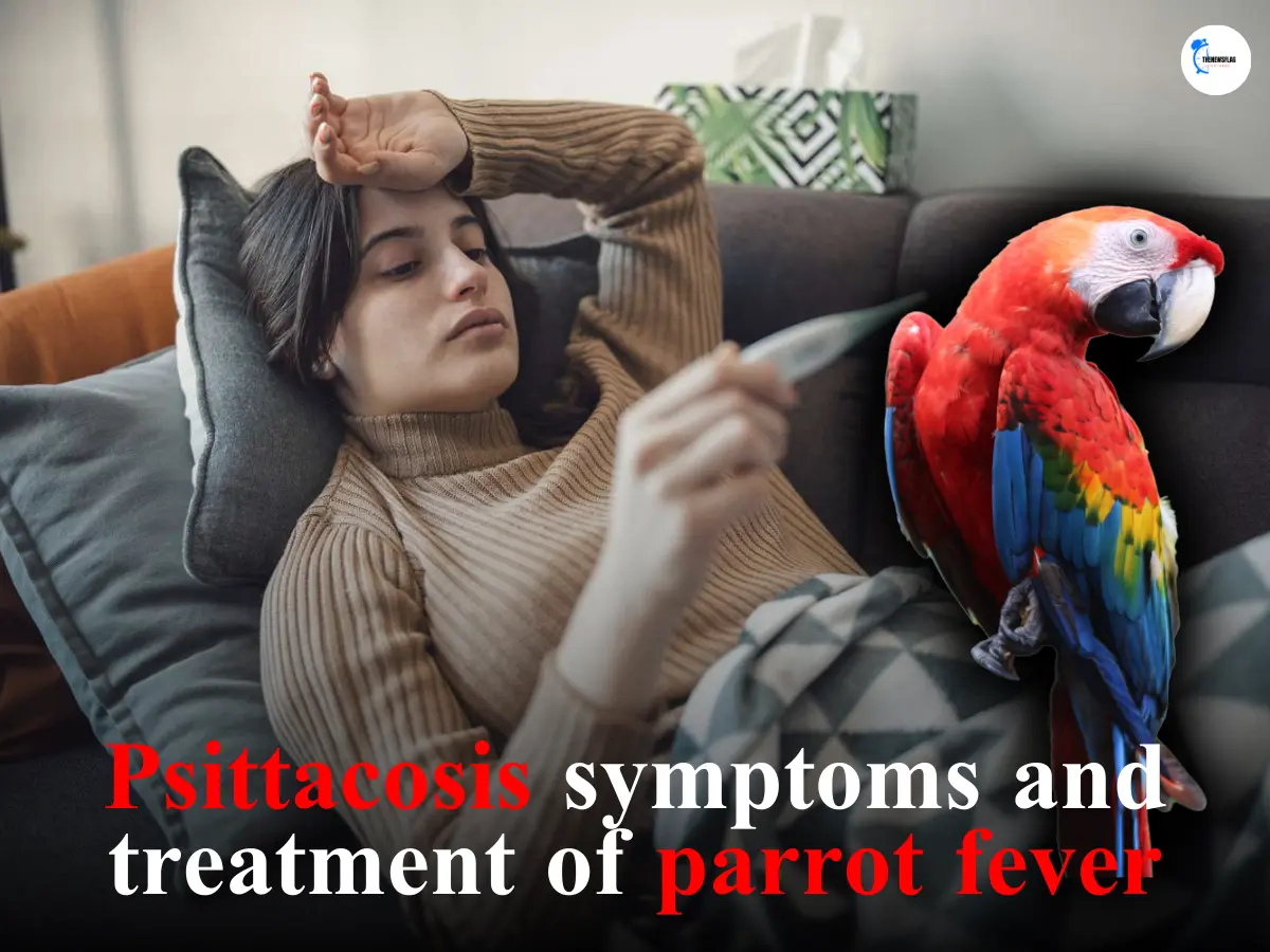 Psittacosis symptoms and treatment of parrot fever