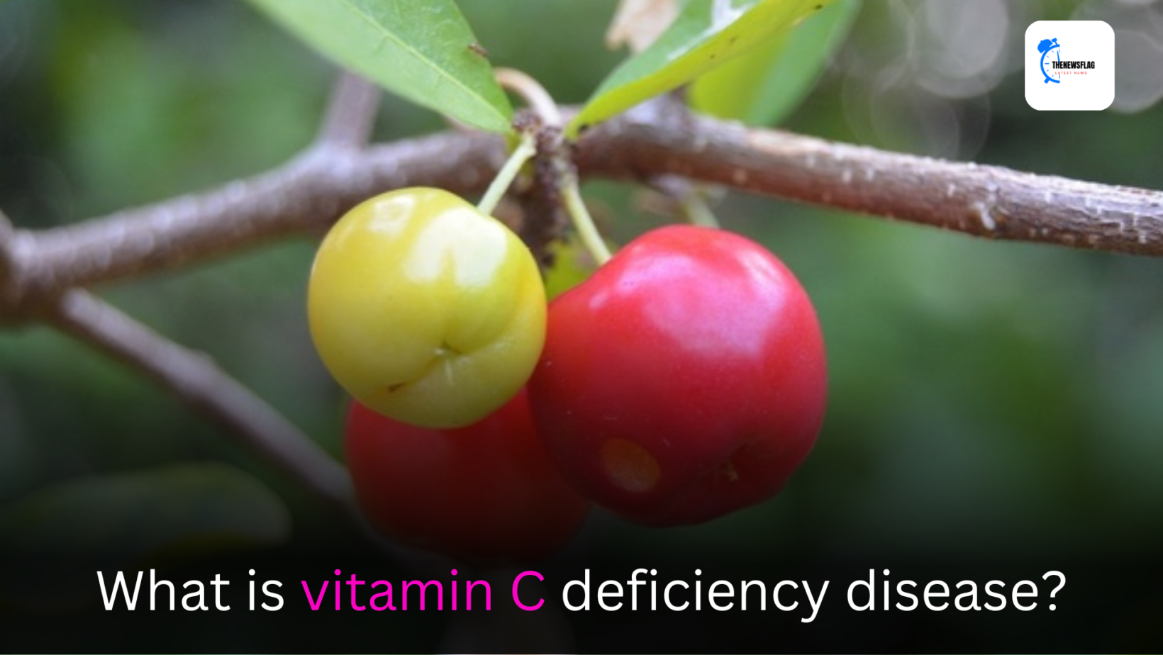 What is vitamin C deficiency disease?