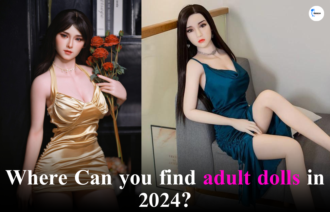 Where Can you find adult dolls?