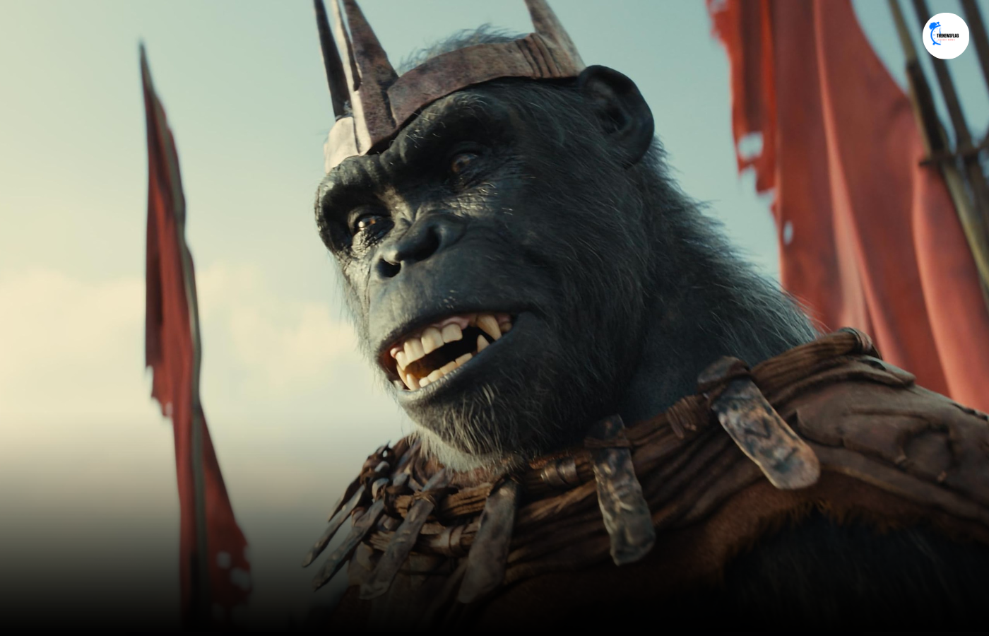 Caesar Character in kingdom of the planet of the apes